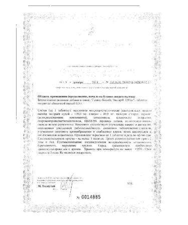 Evalar Ginkgo bilobe tablets P about 120mg 0.5g 100pc -1 units - Buy Online on GoSupps.com