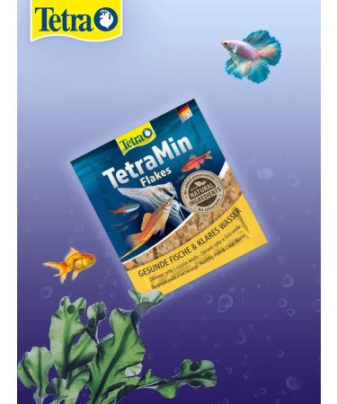 Tetramin Flakes Formin Forms for Aquarium Pisces 12 g 10 pcs - Buy Online on GoSupps.com