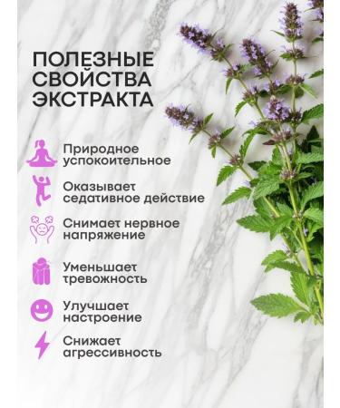 Motherwort Extract capsule 1 pc - Buy Online on GoSupps.com