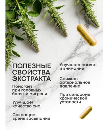 Motherwort Extract capsule 1 pc - Buy Online on GoSupps.com