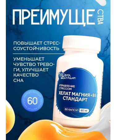 Vita Standard Magnesium B6 Helat 544 mg bisglcinate - Buy Online on GoSupps.com