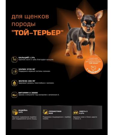 Quattro Feed for puppies toy terrier with turkey 3 kg - Buy Online on GoSupps.com