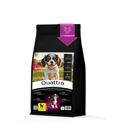 Quattro Feed for puppies Cavalier King Charles Spaniel beef 12 kg