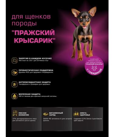 Quattro Feed for puppies Prague Krysarik with beef 12 kg - Buy Online on GoSupps.com