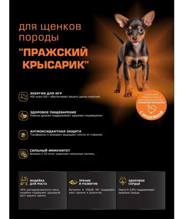 Quattro Feed for puppies Prague Krysarik with turkey 3 kg - Buy Online on GoSupps.com