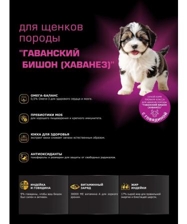 Quattro Feed for puppies Gavan Bishon with beef 800 grams - Buy Online on GoSupps.com