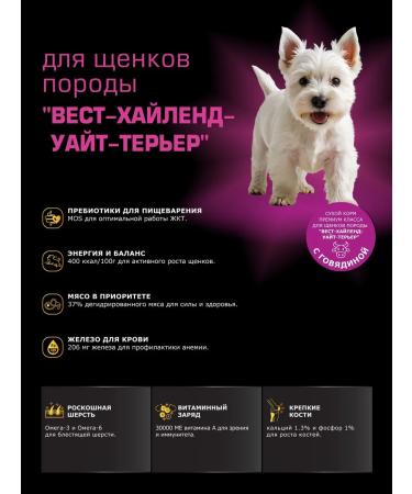 Quattro Feed for puppies West-Haylend-Uyt-terrier beef 12 kg - Buy Online on GoSupps.com