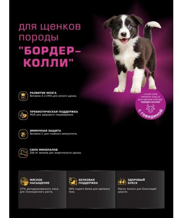 Quattro Feed for puppies Border Colli with beef 12 kg - Buy Online on GoSupps.com