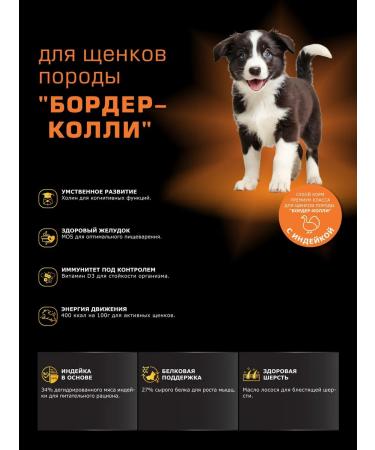 Quattro Feed for puppies Border Colli with turkey 3 kg - Buy Online on GoSupps.com