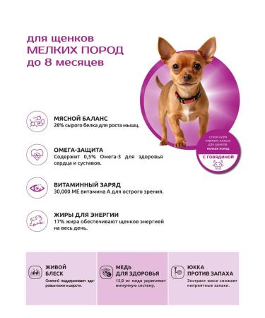 QUATTRO Feed for puppies of small breeds with beef 3 kg - Buy Online on GoSupps.com