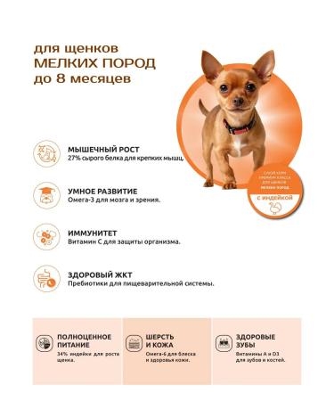 Quattro Feed for small breed puppies with turkey 800 grams - Buy Online on GoSupps.com