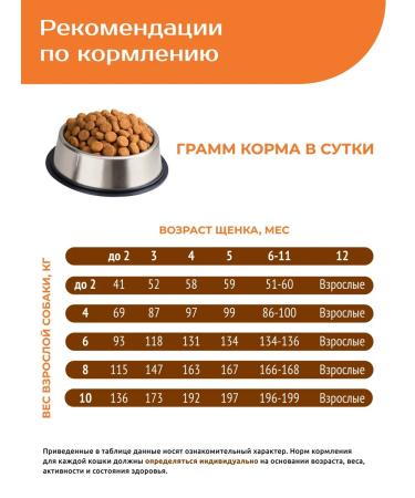 Quattro Feed for small breed puppies with turkey 800 grams - Buy Online on GoSupps.com