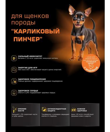 Quattro Feed for puppies dwarf pincher with turkey 3 kg - Buy Online on GoSupps.com