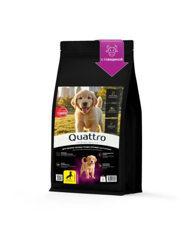 Quattro Golden Retriever puppies with beef 3 kg