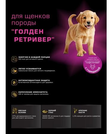 Quattro Golden Retriever puppies with beef 12 kg - Buy Online on GoSupps.com