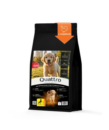Quattro Golden Retriever puppies with turkey 3 kg