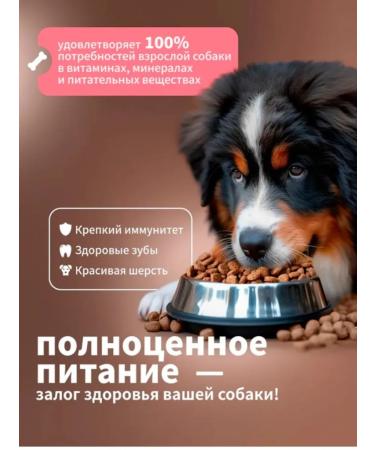 DILLY Dry food for dogs fish with rice 14 kg - Buy Online on GoSupps.com