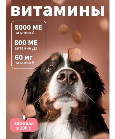 DILLY Dry food for dogs fish with rice 14 kg - Buy Online on GoSupps.com