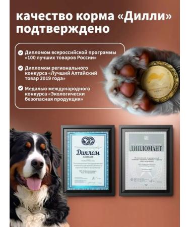 DILLY Dry food for dogs fish with rice 14 kg - Buy Online on GoSupps.com