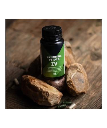 Siberian Health Chronobiological protection of the liver synchrot IV