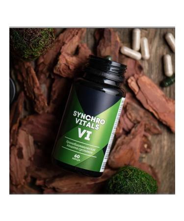 Siberian Health Chronobiological joint protection Synchroval VI - Buy Online on GoSupps.com