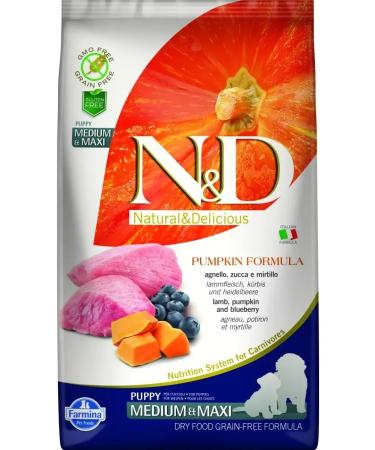 Farmina Dry food for puppies of medium and large rocks