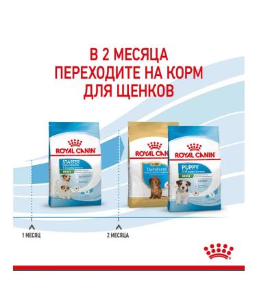 ROYAL CANIN Dry food mini Starter for small breed puppies 8.5 kg - Buy Online on GoSupps.com