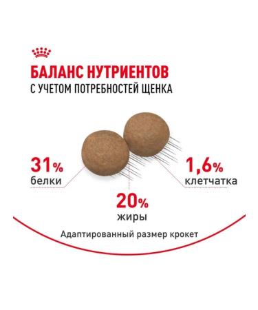 ROYAL CANIN Dry food mini puppy for small breed puppies 2 kg - Buy Online on GoSupps.com