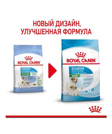 ROYAL CANIN Dry food mini Starter for small breed puppies 1 kg - Buy Online on GoSupps.com