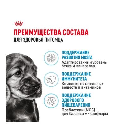 ROYAL CANIN Dry food mini puppy for small breed puppies 4 kg - Buy Online on GoSupps.com