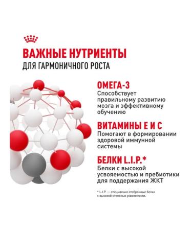 ROYAL CANIN Dry food mini puppy for small breed puppies 4 kg - Buy Online on GoSupps.com