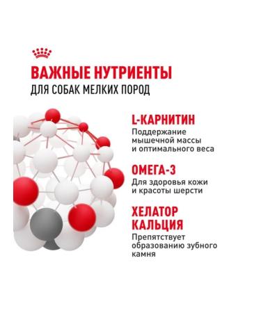 ROYAL CANIN Dry food mini adult for dogs of small breeds 4 kg - Buy Online on GoSupps.com