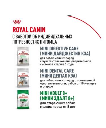 ROYAL CANIN Dry food mini adult for dogs of small rocks 8+ 4 kg - Buy Online on GoSupps.com