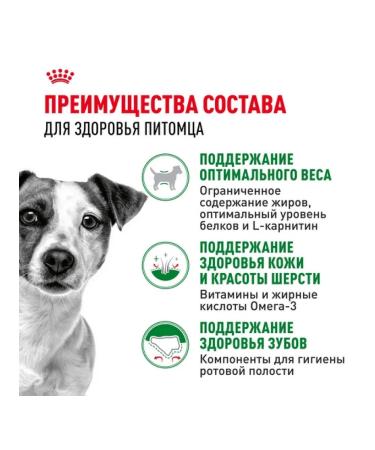 ROYAL CANIN Dry food mini adult for dogs of small rocks 8+ 4 kg - Buy Online on GoSupps.com