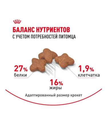 ROYAL CANIN Dry food mini adult for dogs of small rocks 8+ 4 kg - Buy Online on GoSupps.com