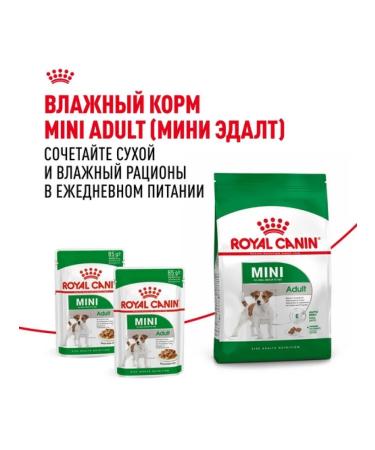 ROYAL CANIN Dry food mini adult for dogs of small rocks 8+ 4 kg - Buy Online on GoSupps.com