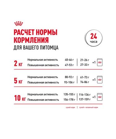 ROYAL CANIN Dry food mini adult for dogs of small rocks 8+ 4 kg - Buy Online on GoSupps.com