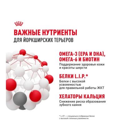 ROYAL CANIN Dry food for dogs of the breed Yorkshire Terrier 3.5 kg - Buy Online on GoSupps.com