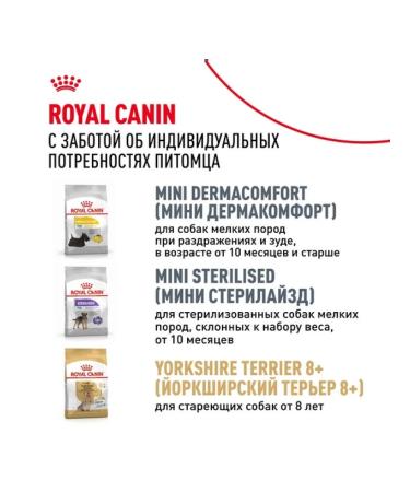 ROYAL CANIN Dry food for dogs of the breed Yorkshire Terrier 3.5 kg - Buy Online on GoSupps.com