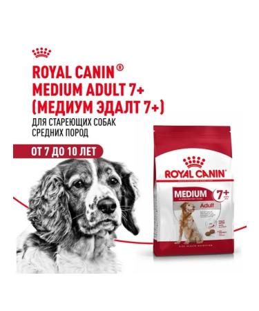 ROYAL CANIN Dry food Medium Adult for dogs of medium rocks 7+ 4 kg - Buy Online on GoSupps.com