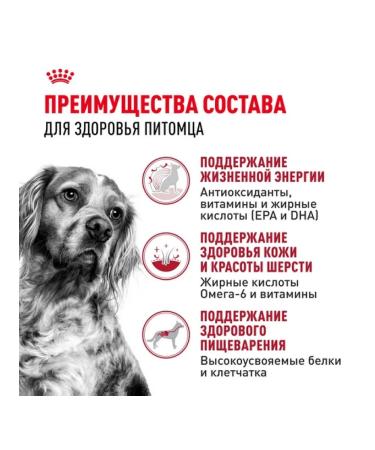 ROYAL CANIN Dry food Medium Adult for dogs of medium rocks 7+ 4 kg - Buy Online on GoSupps.com