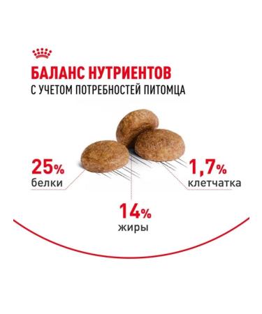 ROYAL CANIN Dry food Medium Adult for dogs of medium rocks 7+ 4 kg - Buy Online on GoSupps.com