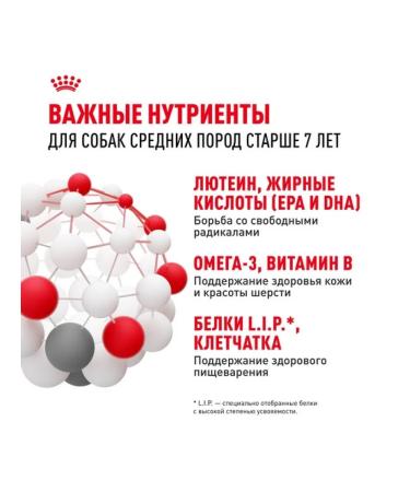 ROYAL CANIN Dry food Medium Adult for dogs of medium rocks 7+ 4 kg - Buy Online on GoSupps.com