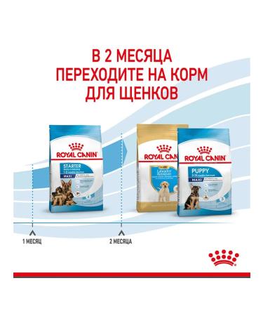 ROYAL CANIN Dry food Maxi Starter for large breed puppies 4 kg - Buy Online on GoSupps.com