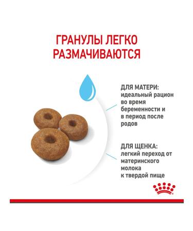 ROYAL CANIN Dry food Maxi Starter for large breed puppies 4 kg - Buy Online on GoSupps.com