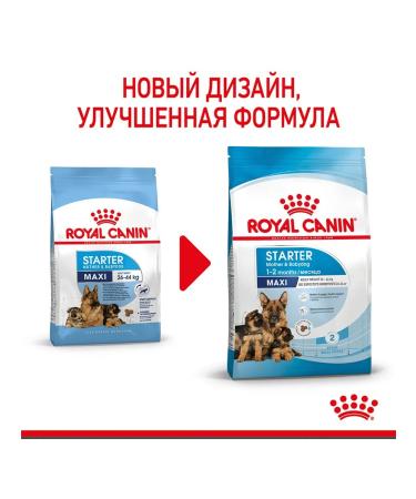 ROYAL CANIN Dry food Maxi Starter for large breed puppies 4 kg - Buy Online on GoSupps.com