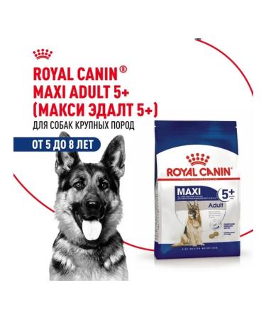 ROYAL CANIN Dry food Maxi Adult for dogs of large rocks 5+ 4 kg - Buy Online on GoSupps.com