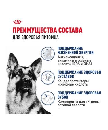 ROYAL CANIN Dry food Maxi Adult for dogs of large rocks 5+ 4 kg - Buy Online on GoSupps.com