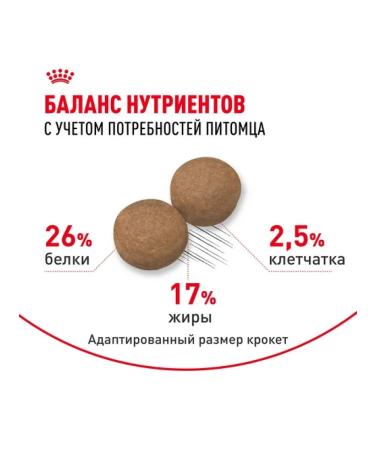 ROYAL CANIN Dry food Maxi Adult for dogs of large rocks 5+ 4 kg - Buy Online on GoSupps.com