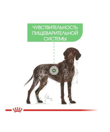 ROYAL CANIN Dry food Maxi Digestive Care for large dogs 3 kg - Buy Online on GoSupps.com